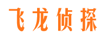 巫溪市调查取证